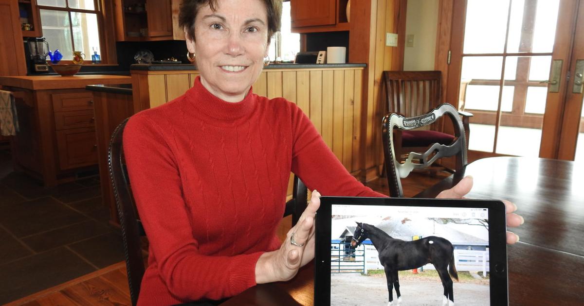 New Racehorse preferred to win Kentucky Derby raised in Clarke County